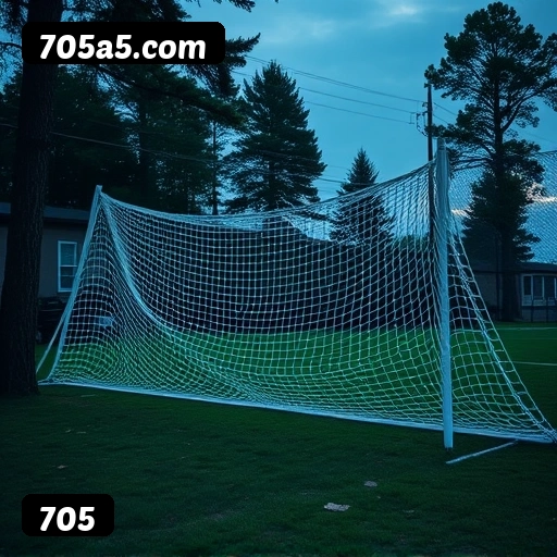 705 APP mobile iOS Android - 187 mil downloads São Paulo Rio BH